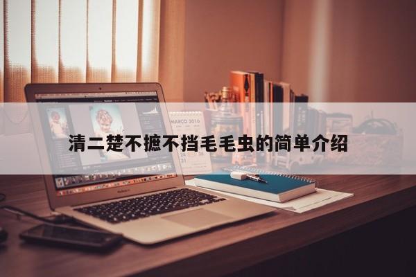 清二楚不摭不挡毛毛虫的简单介绍