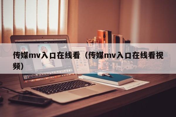 传媒mv入口在线看（传媒mv入口在线看视频）