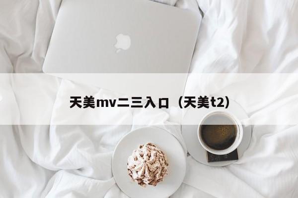 天美mv二三入口（天美t2）